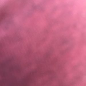 Meet your Posher, Drake